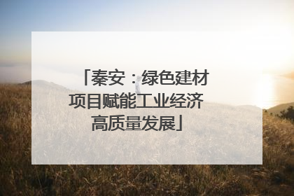 秦安：绿色建材项目赋能工业经济高质量发展