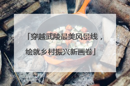 穿越武陵最美风景线，绘就乡村振兴新画卷