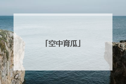 空中育瓜