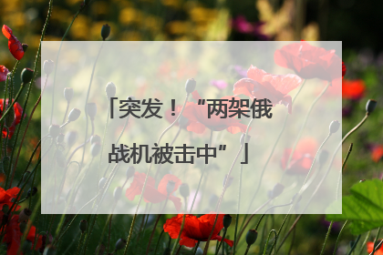 突发！“两架俄战机被击中”