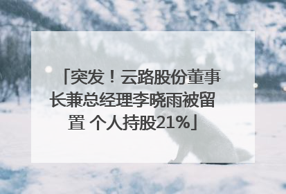 突发！云路股份董事长兼总经理李晓雨被留置 个人持股21%
