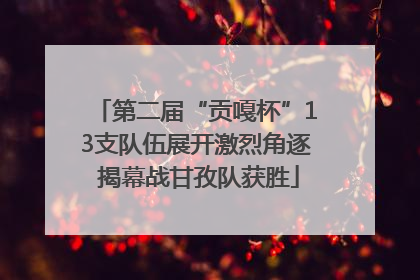 第二届“贡嘎杯”13支队伍展开激烈角逐 揭幕战甘孜队获胜