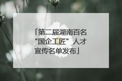 第二届湖南百名“国企工匠”人才宣传名单发布