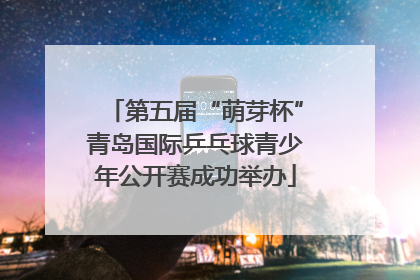 第五届“萌芽杯”青岛国际乒乓球青少年公开赛成功举办