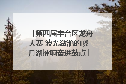 第四届丰台区龙舟大赛 波光潋滟的晓月湖擂响奋进鼓点