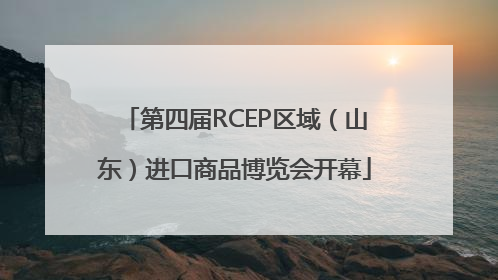 第四届RCEP区域（山东）进口商品博览会开幕