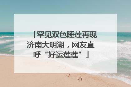 罕见双色睡莲再现济南大明湖，网友直呼“好运莲莲”