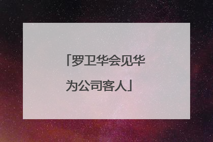 罗卫华会见华为公司客人