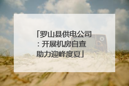 罗山县供电公司：开展机房自查 助力迎峰度夏