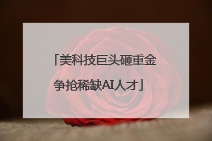 美科技巨头砸重金争抢稀缺AI人才