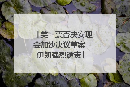 美一票否决安理会加沙决议草案 伊朗强烈谴责