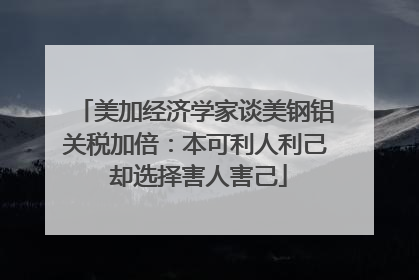 美加经济学家谈美钢铝关税加倍：本可利人利己 却选择害人害己