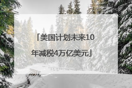 美国计划未来10年减税4万亿美元