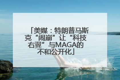 美媒：特朗普马斯克“闹崩”让“科技右翼”与MAGA的不和公开化