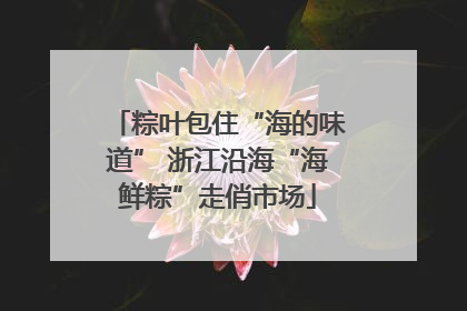 粽叶包住“海的味道” 浙江沿海“海鲜粽”走俏市场