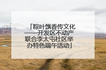 粽叶飘香传文化——开发区不动产联合李太屯社区举办特色端午活动