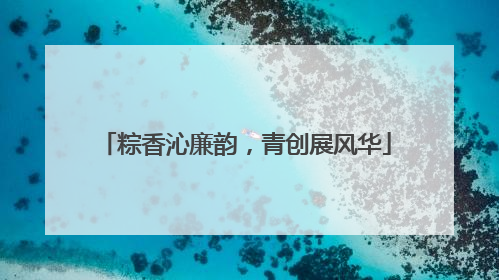 粽香沁廉韵，青创展风华