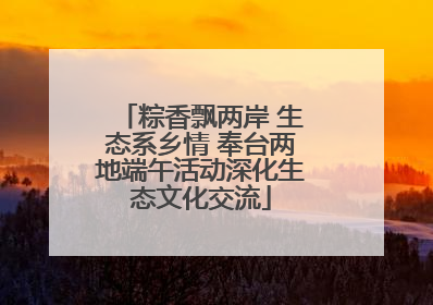 粽香飘两岸 生态系乡情 奉台两地端午活动深化生态文化交流