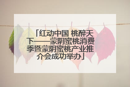 红动中国 桃醉天下——蒙阴蜜桃消费季暨蒙阴蜜桃产业推介会成功举办