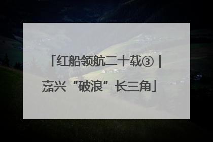 红船领航二十载③｜嘉兴“破浪”长三角