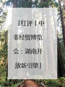 红评丨中非经贸博览会：湖南开放新引擎