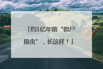 约1亿年前“僵尸昆虫”，长这样！