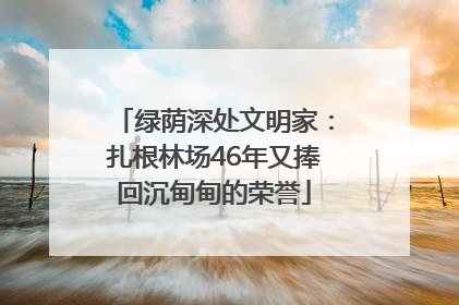 绿荫深处文明家：扎根林场46年又捧回沉甸甸的荣誉
