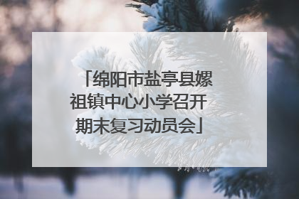 绵阳市盐亭县嫘祖镇中心小学召开期末复习动员会
