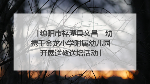 绵阳市梓潼县文昌一幼携手金龙小学附属幼儿园开展送教送培活动