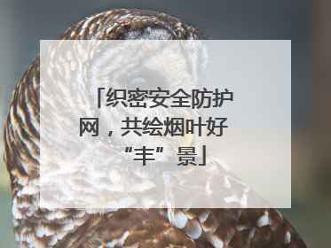 织密安全防护网，共绘烟叶好“丰”景
