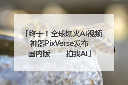 终于！全球爆火AI视频神器PixVerse发布国内版——拍我AI