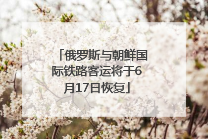 俄罗斯与朝鲜国际铁路客运将于6月17日恢复