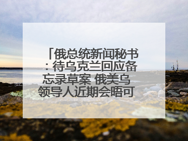 俄总统新闻秘书：待乌克兰回应备忘录草案 俄美乌领导人近期会晤可能性小