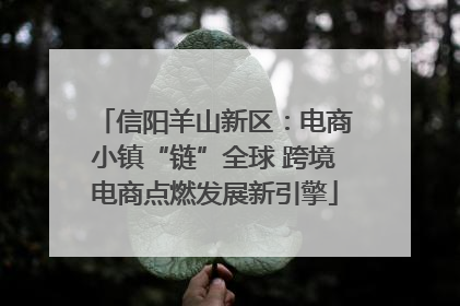 信阳羊山新区：电商小镇“链”全球 跨境电商点燃发展新引擎