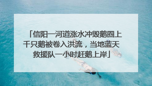 信阳一河道涨水冲毁鹅圈上千只鹅被卷入洪流，当地蓝天救援队一小时赶鹅上岸