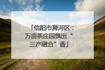 信阳市浉河区：万亩茶庄园飘出“三产融合”香