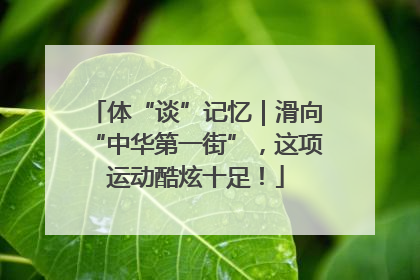 体“谈”记忆｜滑向“中华第一街”，这项运动酷炫十足！