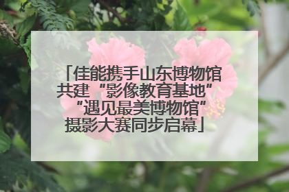 佳能携手山东博物馆共建“影像教育基地” “遇见最美博物馆”摄影大赛同步启幕