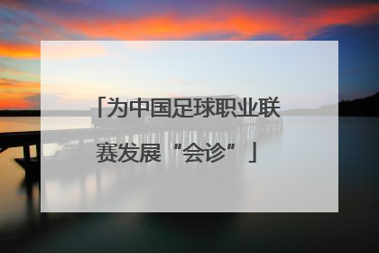 为中国足球职业联赛发展“会诊”