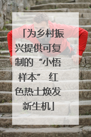 为乡村振兴提供可复制的“小悟样本” 红色热土焕发新生机