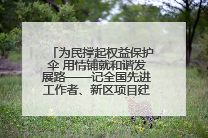 为民撑起权益保护伞 用情铺就和谐发展路——记全国先进工作者、新区项目建设中心干部卢小勇