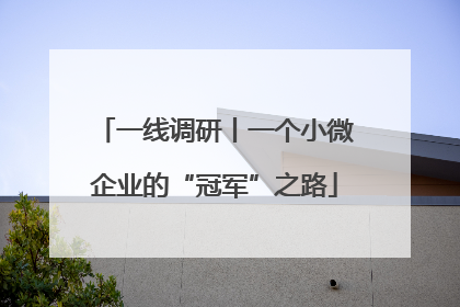 一线调研丨一个小微企业的“冠军”之路