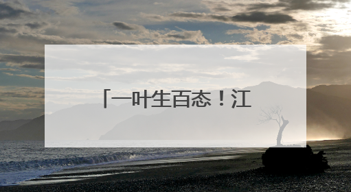 一叶生百态！江川棕编非遗里的“动物世界”