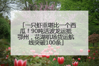 一只虾重堪比一个西瓜！90吨活波龙运抵鄂州，花湖机场货运航线突破100条