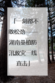 一刻都不敢松劲——湖南桑植防汛救灾一线直击
