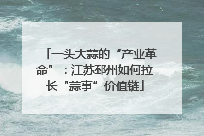 一头大蒜的“产业革命”：江苏邳州如何拉长“蒜事”价值链