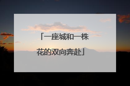 一座城和一株花的双向奔赴