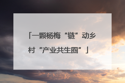 一颗杨梅“链”动乡村“产业共生圈”