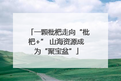 一颗枇杷走向“枇杷+” 山海资源成为“聚宝盆”