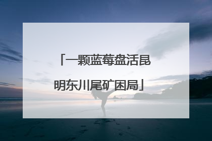 一颗蓝莓盘活昆明东川尾矿困局